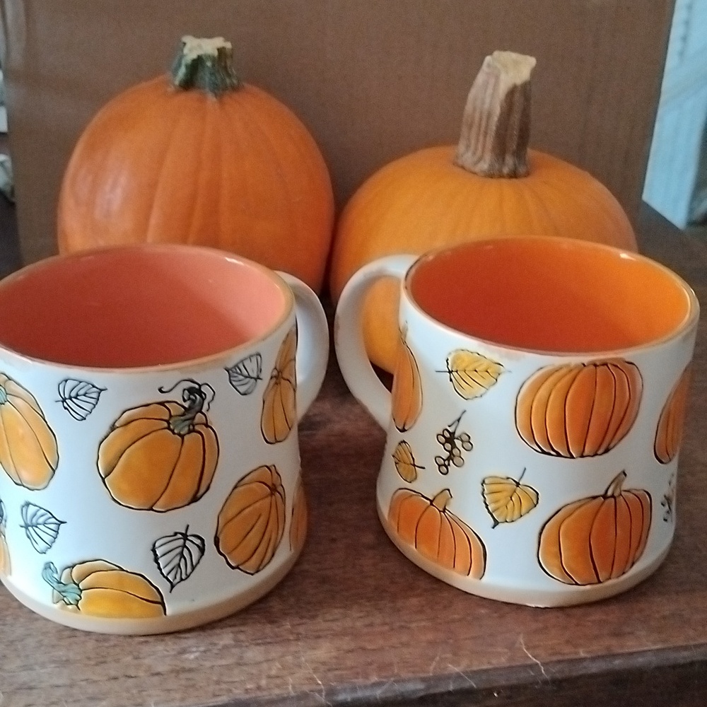 Set of 2 Spectrum Designs mugs. N21GW1